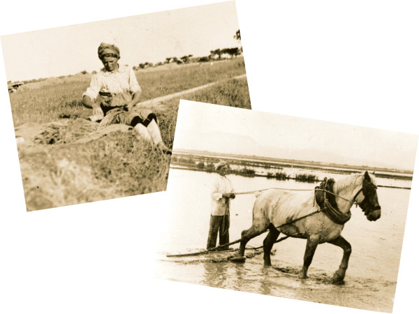 Imagem do projecto: ALR-Tradicao.jpg